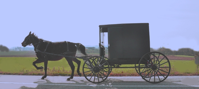 Amish buggy