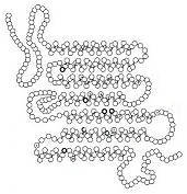 sensory grid of the molecule