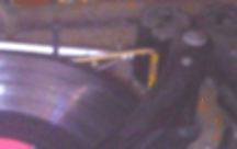 feeler touches large record